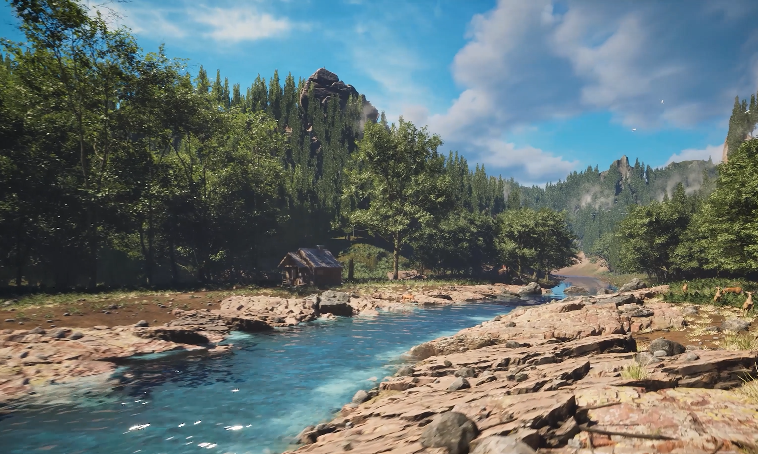 Game Environment preview